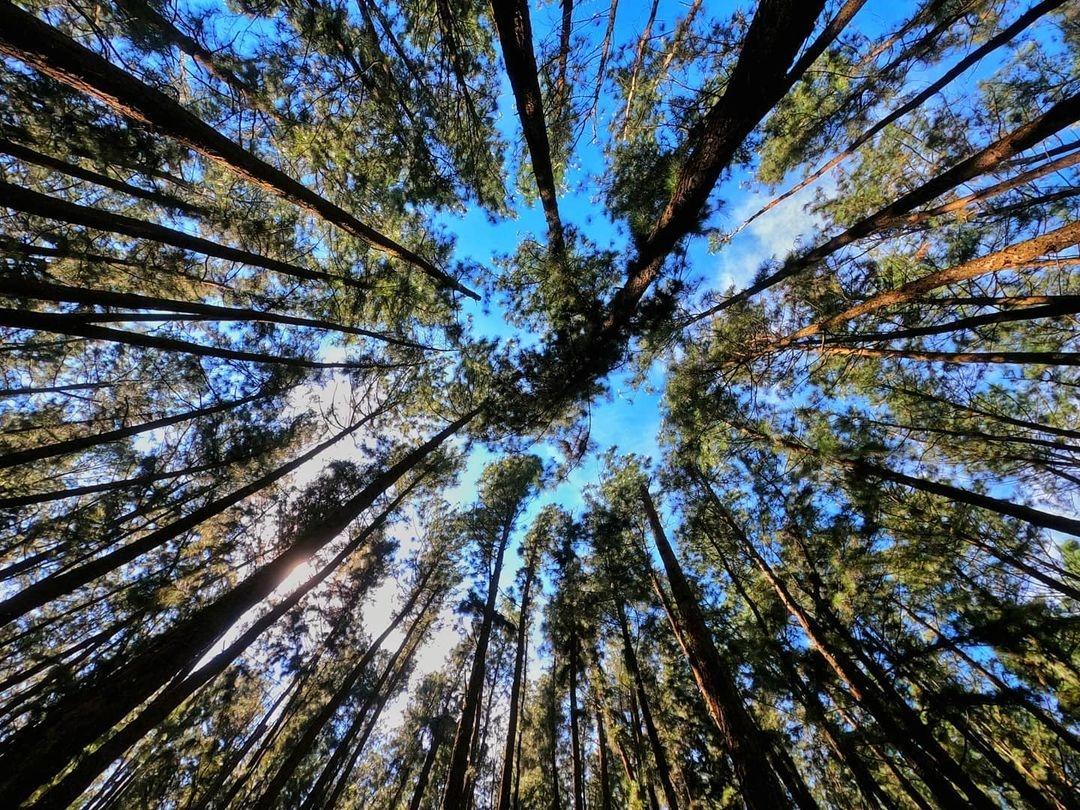 Best Resort for Couple in Vagamon