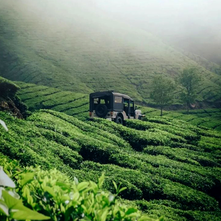 Best Places to Visit in Vagamon