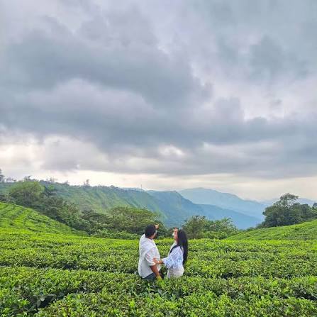 Best Resort in Vagamon for Couples: A Weekend Escape
